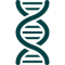 cadena-de-adn