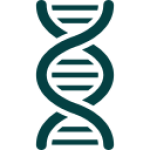 cadena-de-adn